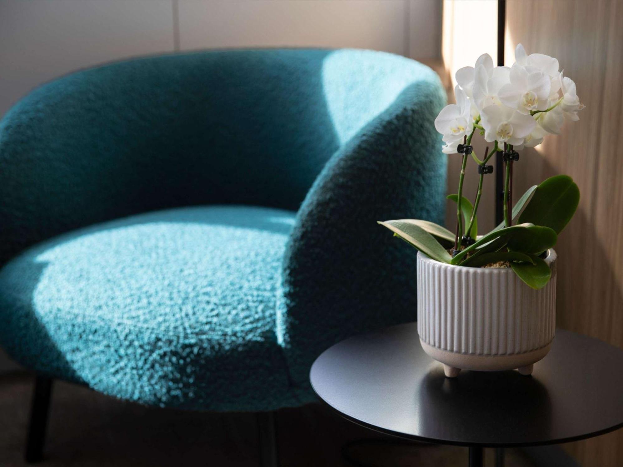 Novotel Sydney City Centre Eksteriør billede
